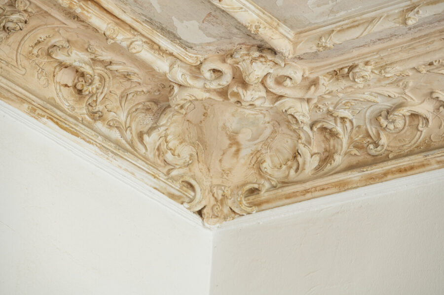 Detail