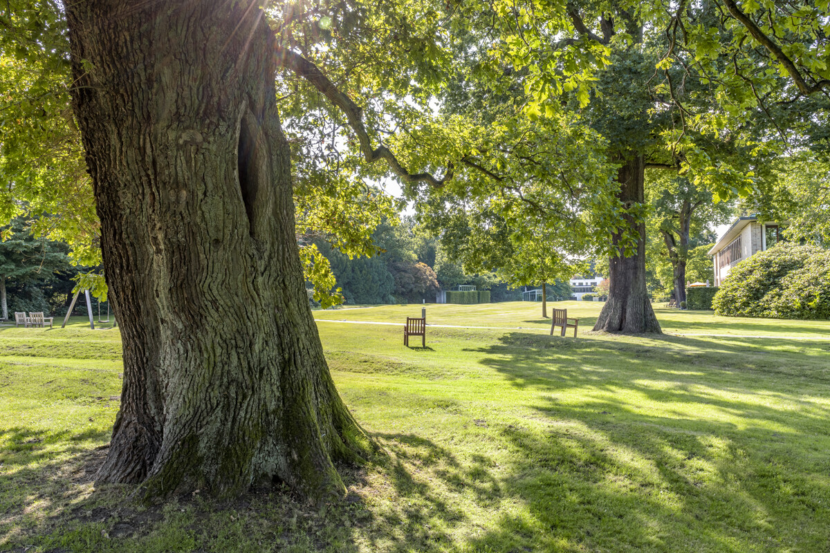 Reemtsma Park