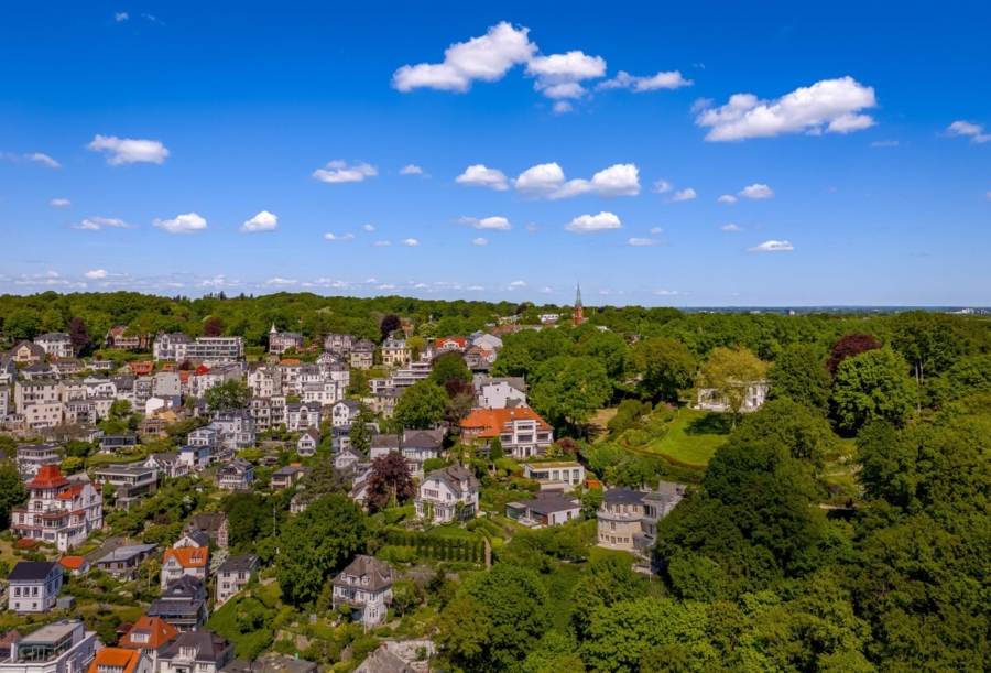 Leben mit Elbpanorama - Luftbild (11568)