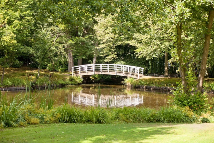 Brücke