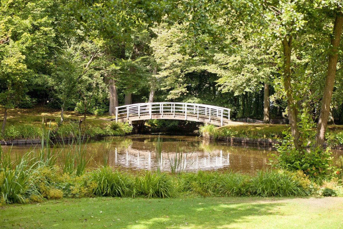 Brücke